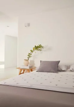 Cama 150 Cm | Set Funda Nordica Y Almohada Calaveras-Scalpers Online