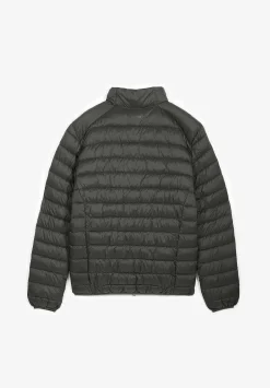 Chaqueta Acolchada Calavera-Scalpers Cheap