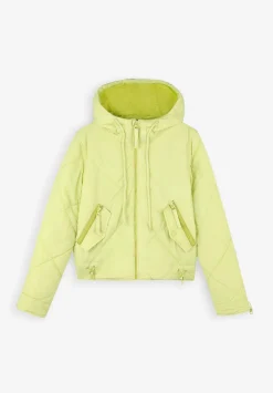 Chaqueta Acolchada Capucha-Scalpers Sale