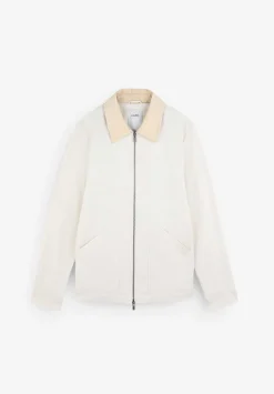 Chaqueta Canvas Cuello Pana-Scalpers Fashion