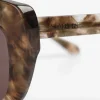 Gafas Sol Montura Carey-Scalpers Discount
